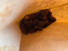 -都士牧人现烤牛肉干