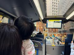 -Big Bus Tours 敞篷观光巴士
