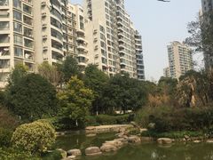 -新湖明珠城