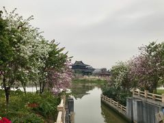 -海珠湖公园