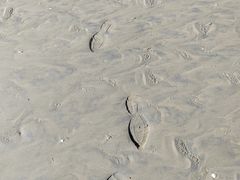-启东黄金海滩景区