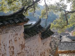 -杨家堂村