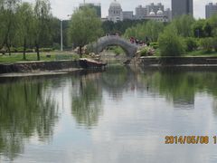 拱桥-长春公园(普阳街道)