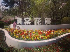-海棠花溪(元大都城垣遗址公园)