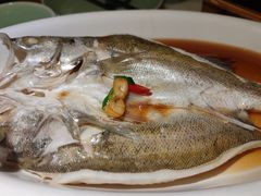 -绿茶餐厅(西单老佛爷店)