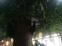 -津武刁馋一锅出(双街店)