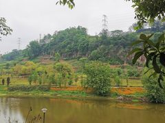 -重庆长寿碧桂园凤悦凤凰酒店