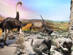 -国家自然博物馆