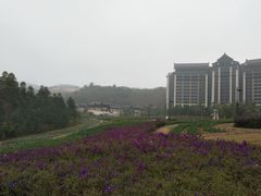 -清远熹乐谷温泉度假酒店