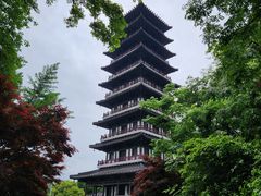 -宜兴龙背山森林公园