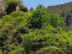 -山西通天峡景区