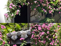 -金谷里艺术馆