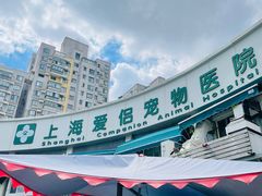 -爱侣宠医·鹦鹉专科·小型哺乳类·异宠专科(灵石路店)