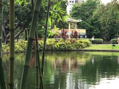 -晓港公园