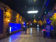 -华夏文旅海洋公园