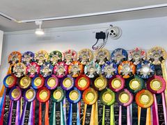 -青奢宠物·青奢猫舍