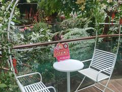 -正佳雨林生态植物园
