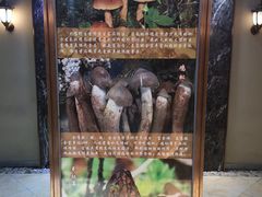 -爱膳菌锅锅(阳南店)