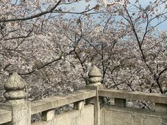 -苏州上方山国家森林公园