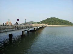 -野狸岛