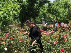 -上海植物园-4号门售票处