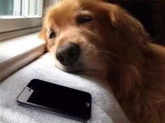 -章云板鸭(评事街店)