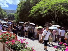 -野象谷景区