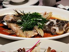 -新兴·金羊座·粤菜点心(乐峰店)