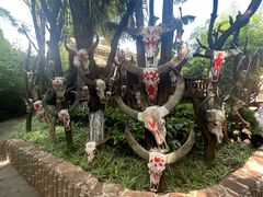 -云南民族村
