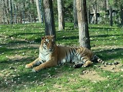 -北京野生动物园