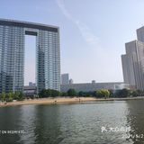 美丽的海河