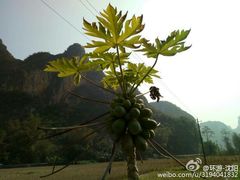 -龙谷湾旅游休闲度假区