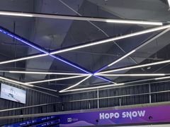 -Hopo Snow 城市滑雪空间(来福士广场购物中心店)