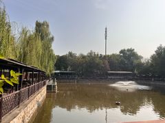-尚庄度假村·庭台树下·户外烧烤·团建CS·轰趴营地(上庄水库店)