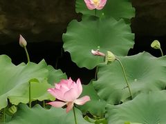 -绍兴鉴湖君澜大酒店
