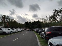 -光明小镇欢乐田园