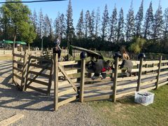 -前小桔亲子创意农场·草莓采摘·露营烧烤