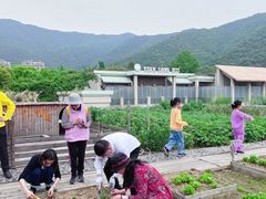 -宁波九龙湖开元度假村