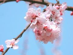 -三里河公园