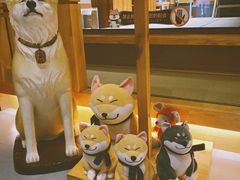 -大江户·温泉洗浴(浑南店)