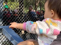 -长白岛森林公园