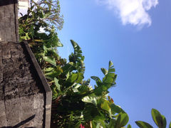 iphone_upload_pic-广州花都木莲庄酒店