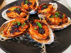 豉汁蒸鲍鱼-维园悦谱·海派家常菜(乌鲁木齐南路店)