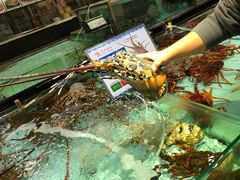 -渔民新村(番禺总店)