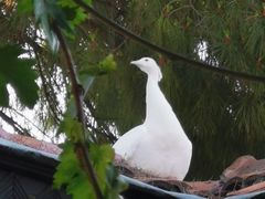 -安塔利亚博物馆