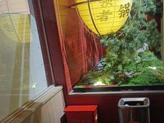 -芝小官毛肚火锅海鲜自助(淮安清江浦区新亚店)