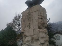-北京鹫峰国家森林公园
