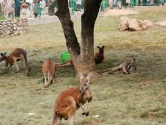 -西安秦岭野生动物园