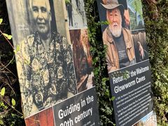 -怀托摩萤火虫洞