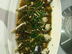 -沪碟·精菜坊(闵行店)